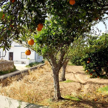 Casas Do Pomar Villa Lagos Bilik gambar