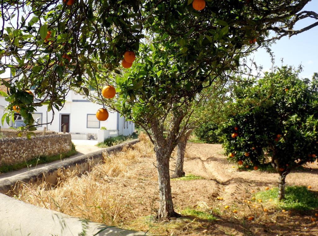 Casas Do Pomar Villa Lagos Bilik gambar