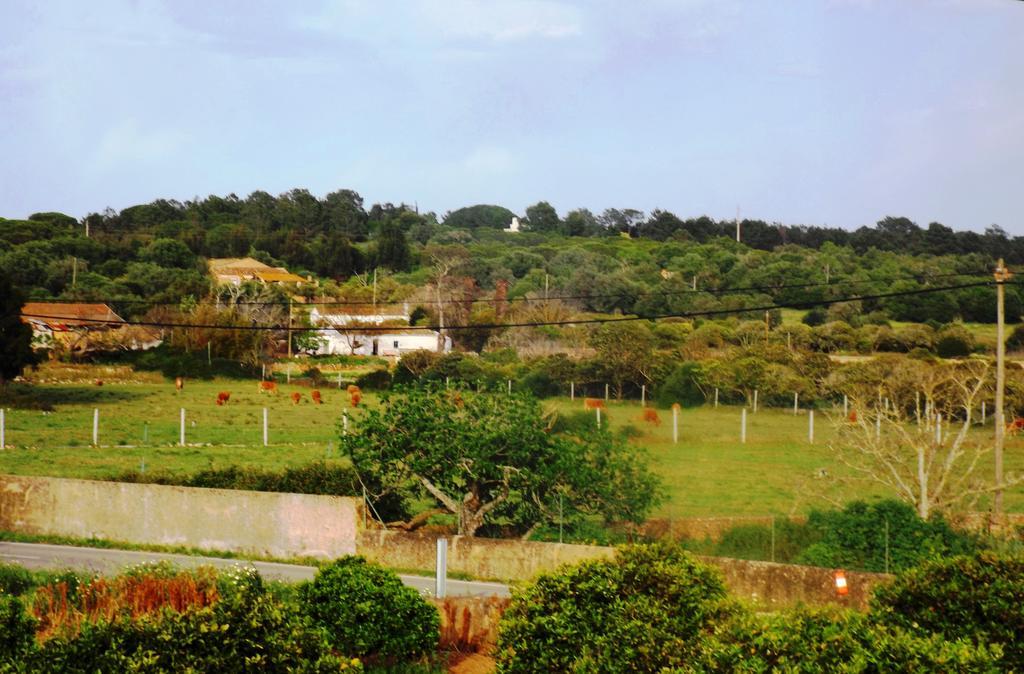 Casas Do Pomar Villa Lagos Bilik gambar